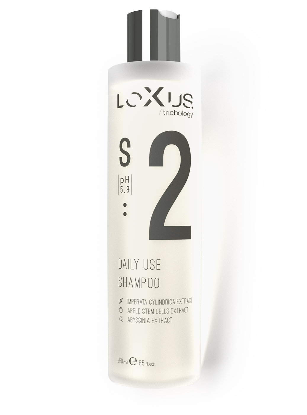 Loxus Szampon Daily Use 250ml do codziennego użytku